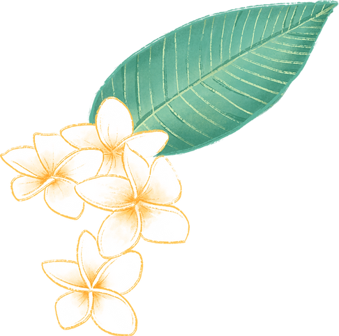 Plumeria Flower