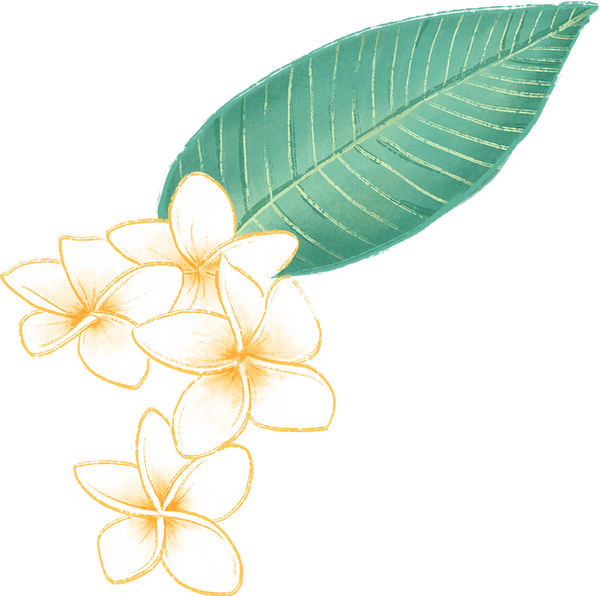 Plumeria Fleur