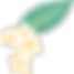Plumeria Fleur