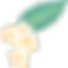 プルメリアの花