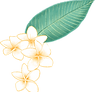 プルメリアの花
