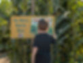 A little boy examines a sign in front of the corn maze