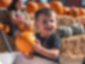 A smiling little boy holds up a pumpkin