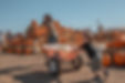 Young kids pull a wagon that is carrying a pumpkin in front of the pumpkin patch