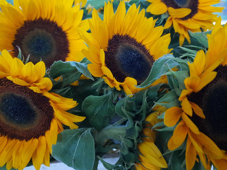 Sonnige Stimmung trotz Regenschauer – unser Sommerfest für die Ehrenamtlichen