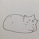 cat.jpeg