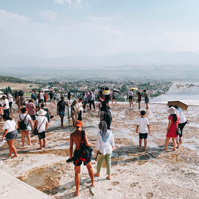 Wen Han Peng Photography // All Beings