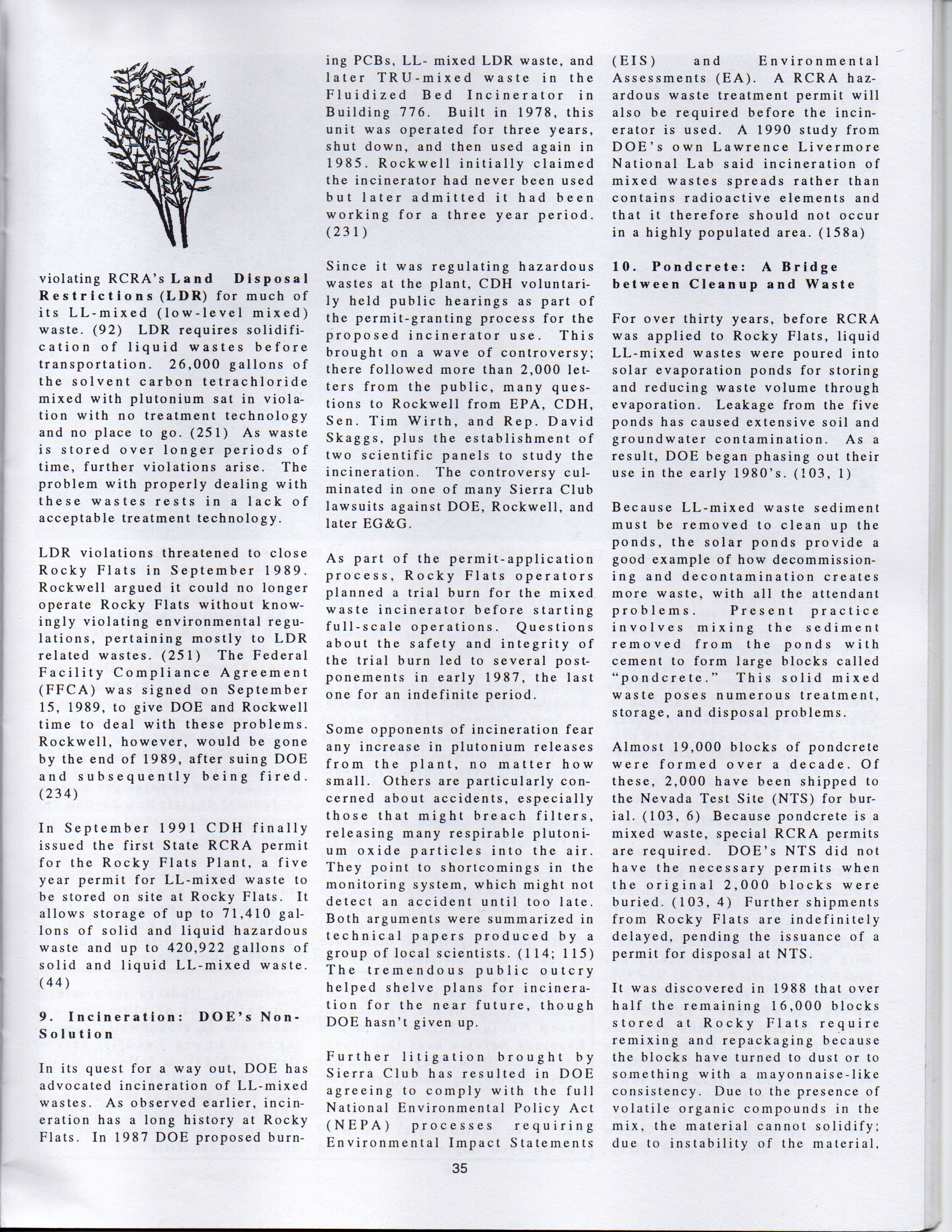 Page 35.jpg