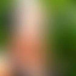 LIZ Appleton, Wisconsin, U.S.A.