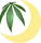 _edited.png