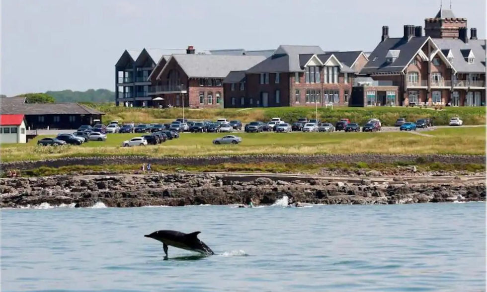 The apartment complex from the sea with a picture of a dolphin.
