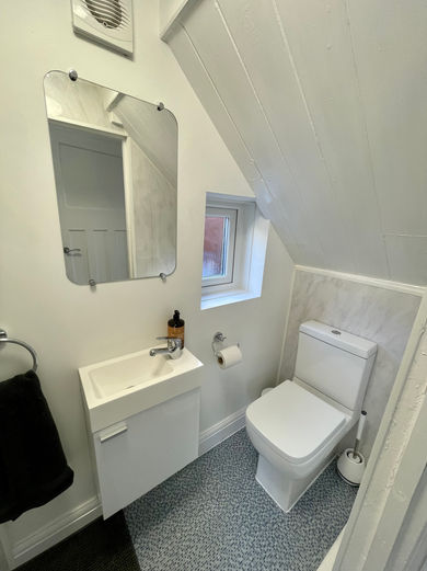 Downstairs toilet.jpg
