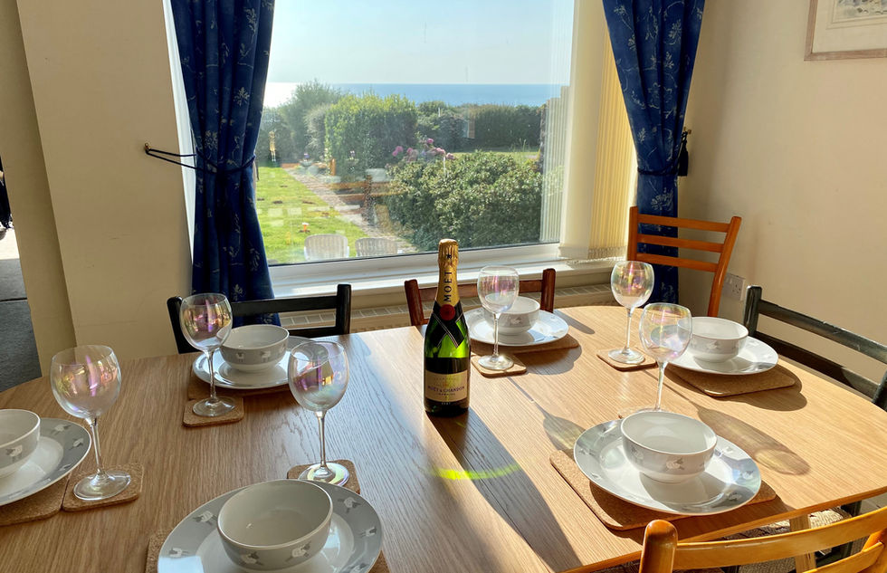 Dining room table set with crockery and glasses with a bottle of champagne with a window looking at the back garden.