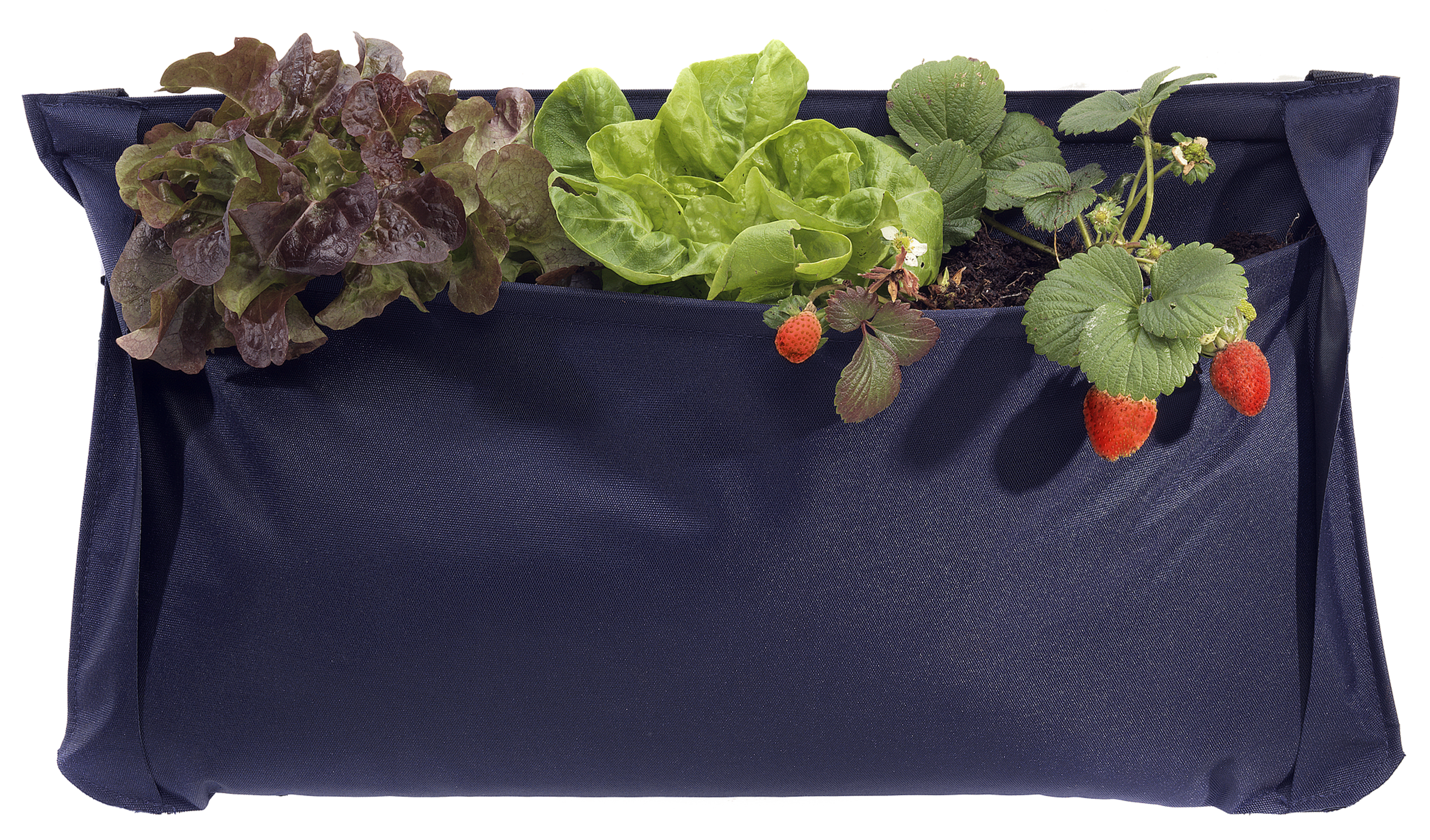 SINGLE | Noocity GrowPocket