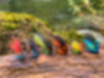 Fishing Flies on log by river