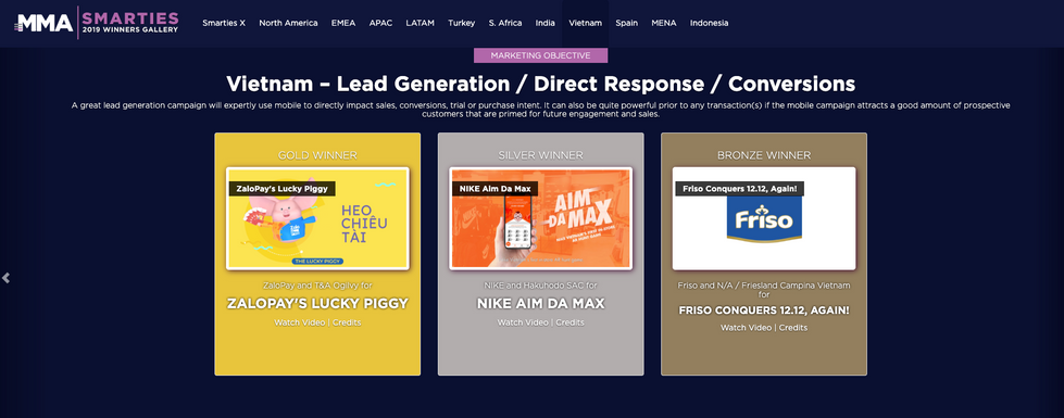 Gold Winner - MMA Vietnam 2019