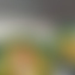 Krämig pestopasta med guanciale, vispad burrata & chili