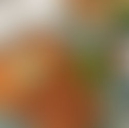 Schnitzel med smashad potatis & örtsmör