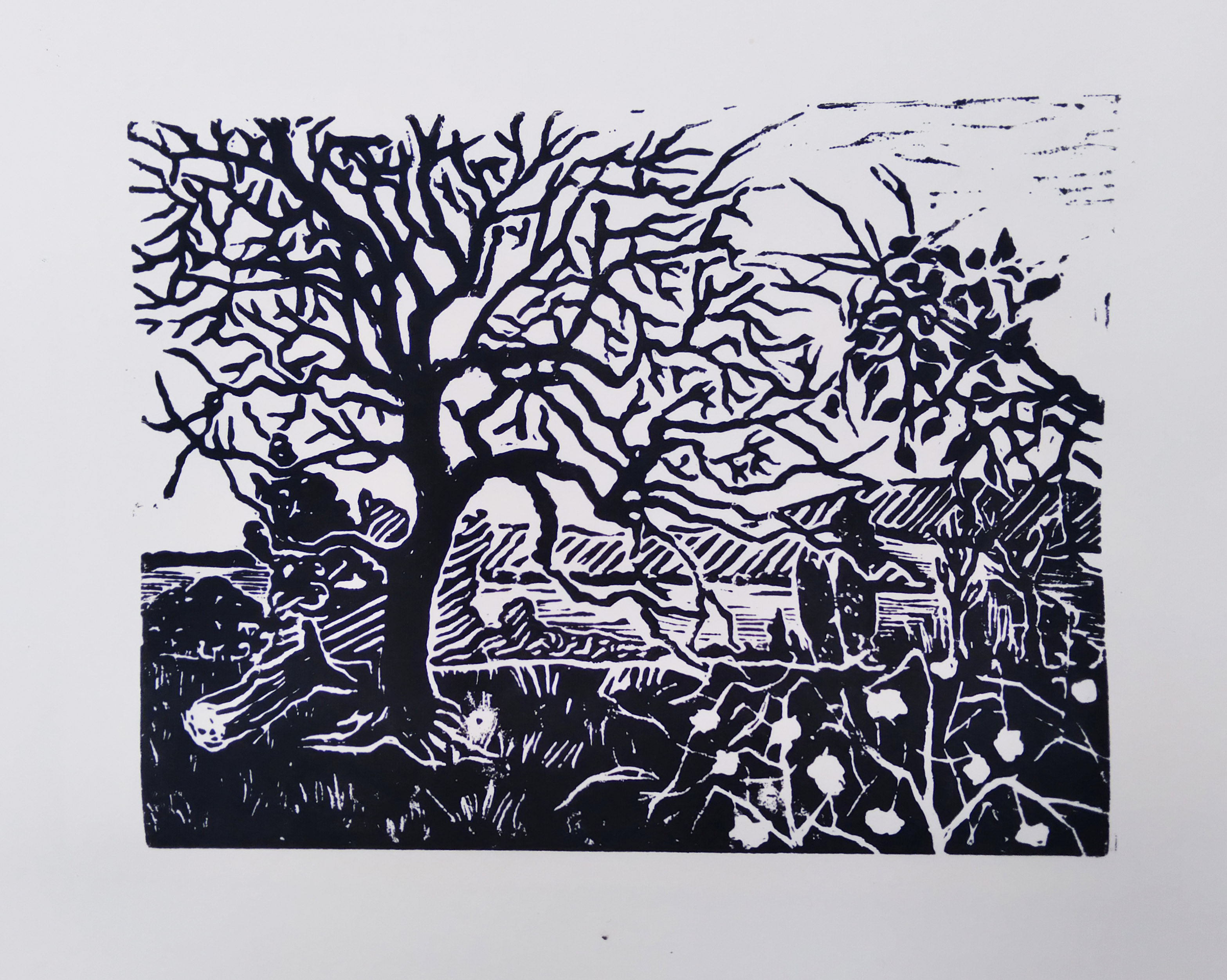 Paysage chemin de la Croix Barrée