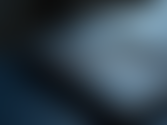 Unlocking Growth Potential: Bluestone Capital Investment Strategy