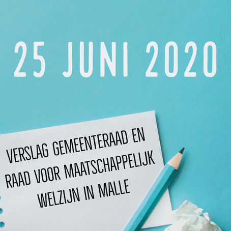 Verslag gemeenteraad en raad voor maatschappelijk welzijn van 25 juni 2020