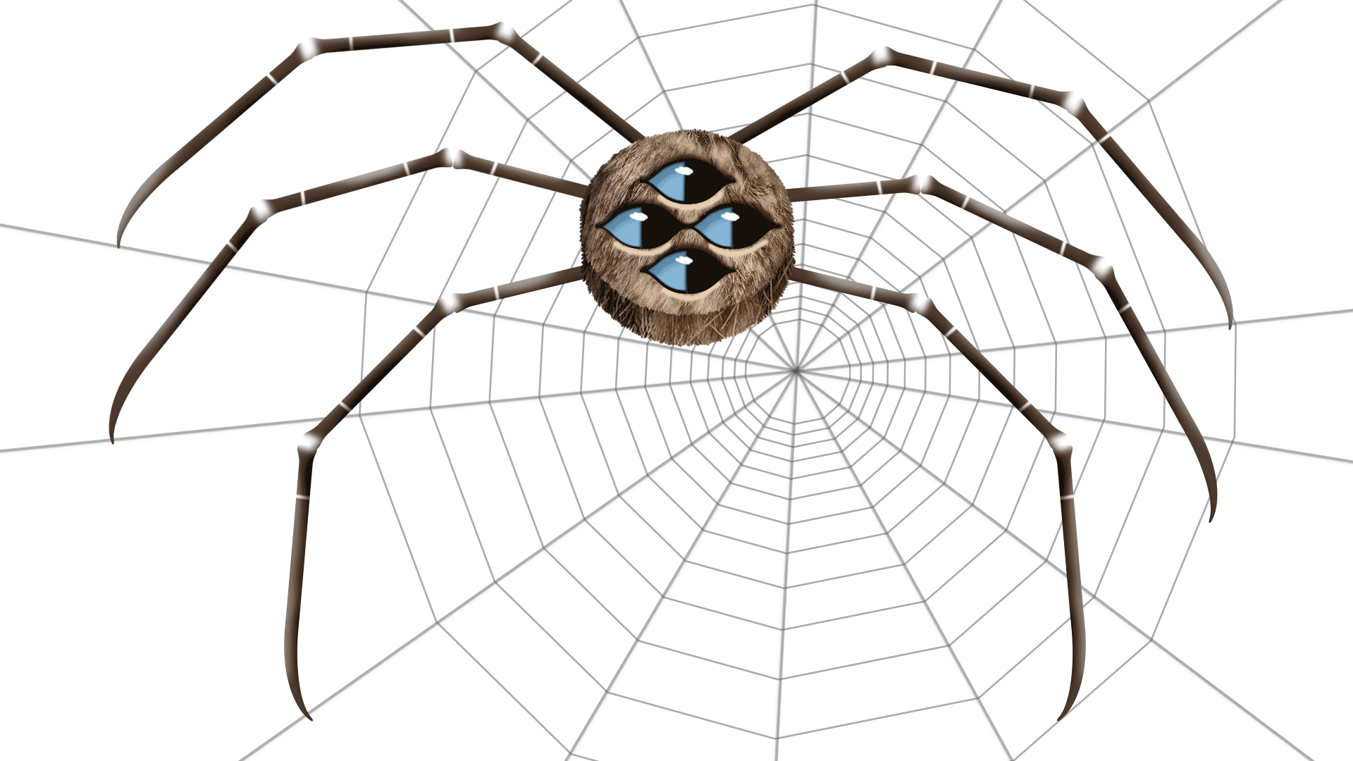 Animated spider