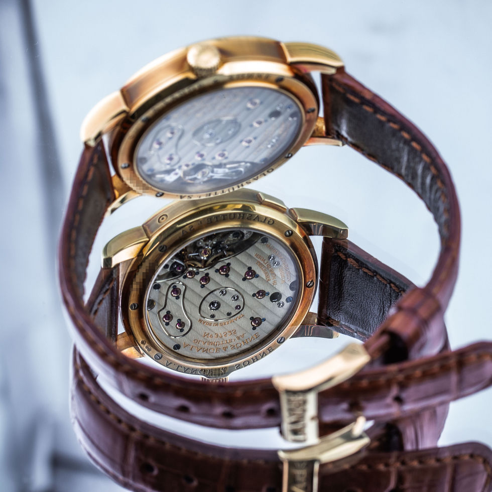A. Lange & Sohne 109.021 reflective view of caseback