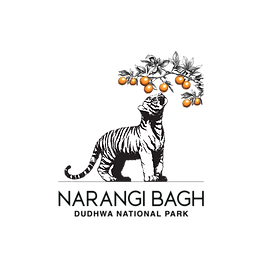 cs6 Narangi Bagh Logo_1x1_v2 revised (1)-01.png