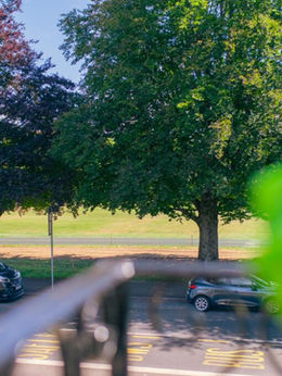 View of trees and street from Project Ninian Road.