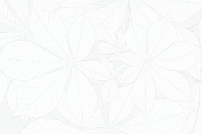 White leaves pattern. Abstract and minimal floral design for various backgrounds.