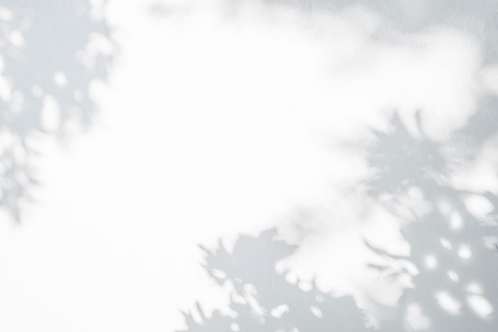 Shadowy leaves frame a bright background