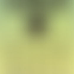 グループ展のお知らせ／GROUP EXHIBITION