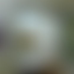 個展の様子/images of the solo exhibition