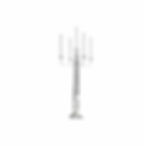 Candelabra $100 each