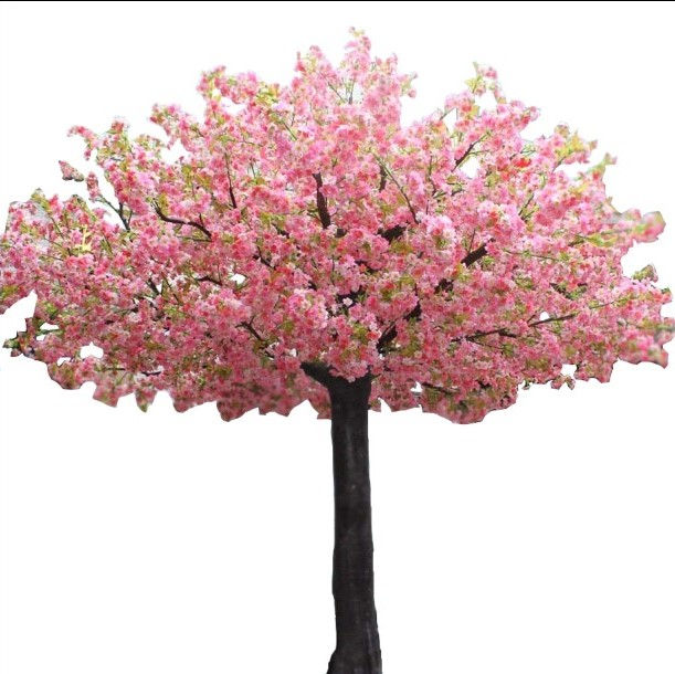 Trees - Cherry Blossom Pink