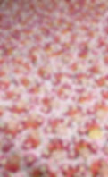 Pink Flowerwall