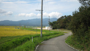 グラウンド