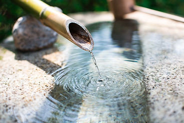 AdobeStock_90756850.jpeg