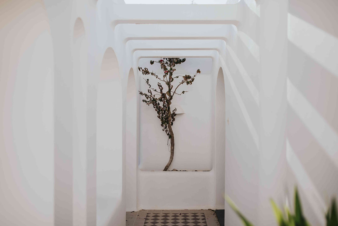 resize_K+N 272.jpg