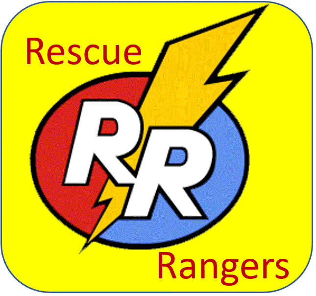 Rescue-Team-Hard-Hat-Label-HH-0113.gif