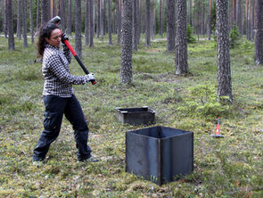 The Soil is the Limit: Dr. Nadia Maaroufi, Soil Ecologist