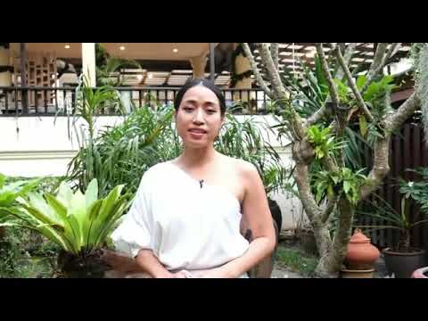 Tan Utan Talks about Dr. Allen MBA | Practice Management