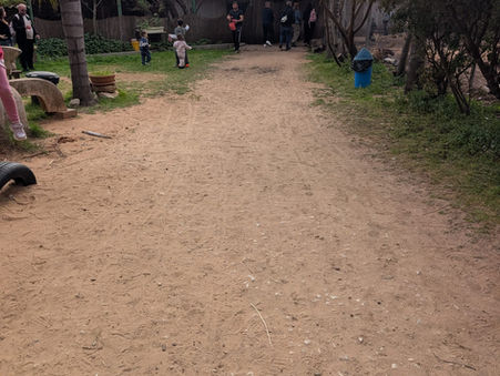 נגישות ב"לגעת בחיות" גבעת חיים איחוד