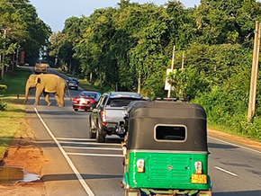 יומן מסע - חודשיים בסרי לנקה ודרום מזרח אסיה חלק #1