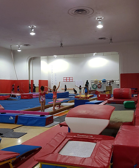 Club de gymnastique et de trampoline Les Asymétriques (le club)