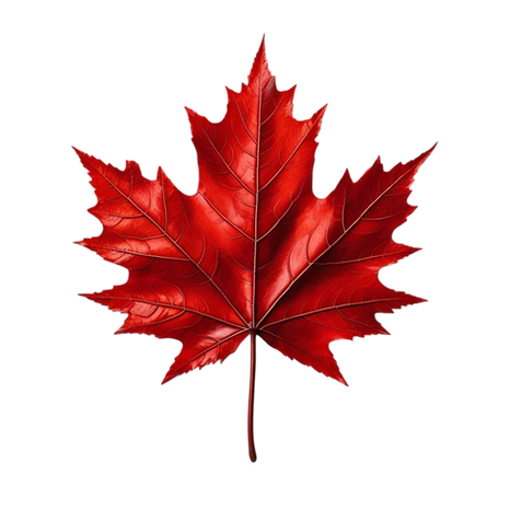 —Pngtree—a vibrant red maple leaf_210949