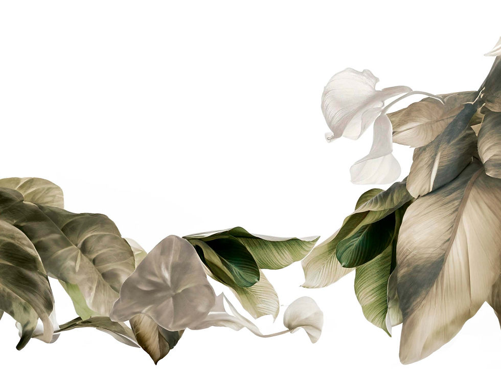 fondo-floral-C.jpg