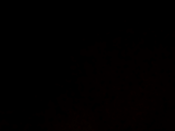 1SelfLogoLoop-image.gif