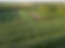 DJI_0494.JPG
