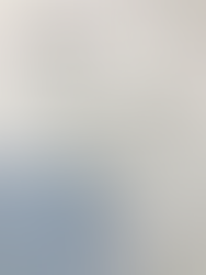 石牟礼道子さん逝く